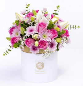 ASSORTED ROUND NBOX